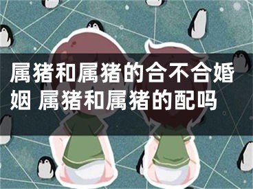 属猪和属猪的合不合婚姻 属猪和属猪的配吗