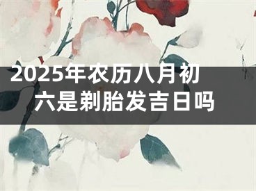 2025年农历八月初六是剃胎发吉日吗