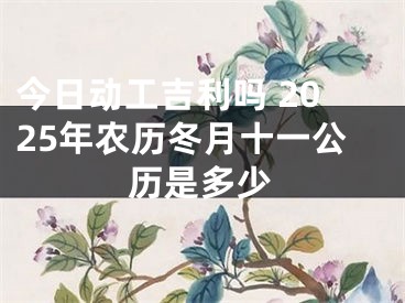 今日动工吉利吗 2025年农历冬月十一公历是多少