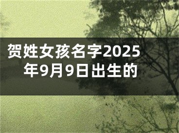 贺姓女孩名字2025年9月9日出生的