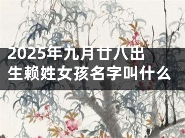 2025年九月廿八出生赖姓女孩名字叫什么