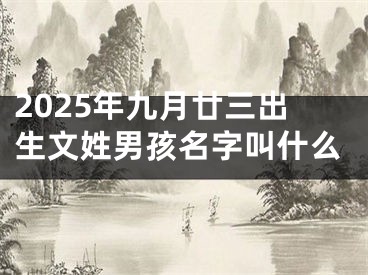 2025年九月廿三出生文姓男孩名字叫什么