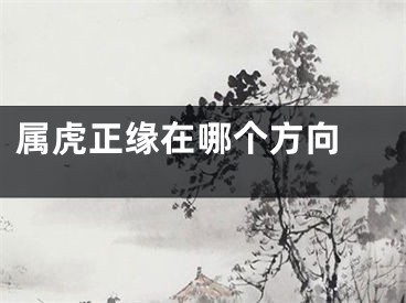属虎正缘在哪个方向 