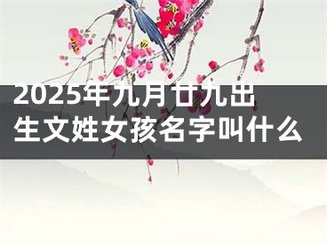 2025年九月廿九出生文姓女孩名字叫什么