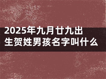 2025年九月廿九出生贺姓男孩名字叫什么