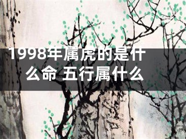 1998年属虎的是什么命 五行属什么