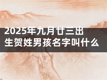 2025年九月廿三出生贺姓男孩名字叫什么