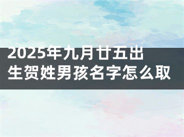 2025年九月廿五出生贺姓男孩名字怎么取