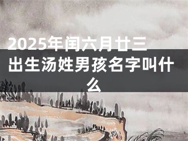 2025年闰六月廿三出生汤姓男孩名字叫什么