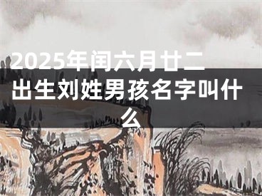 2025年闰六月廿二出生刘姓男孩名字叫什么