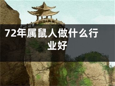 72年属鼠人做什么行业好
