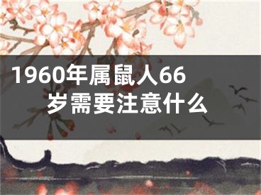 1960年属鼠人66岁需要注意什么