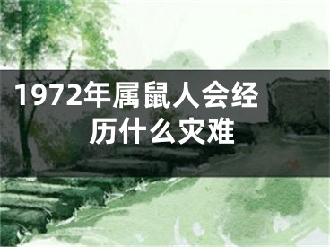 1972年属鼠人会经历什么灾难