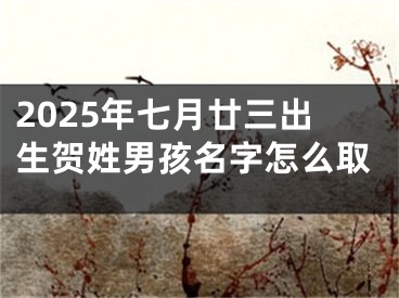2025年七月廿三出生贺姓男孩名字怎么取
