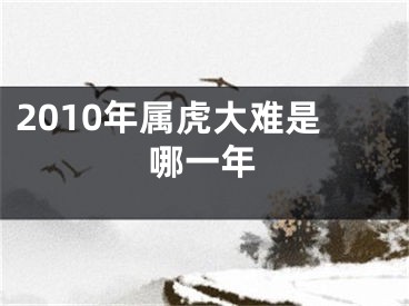 2010年属虎大难是哪一年