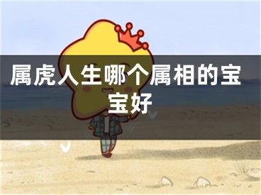 属虎人生哪个属相的宝宝好