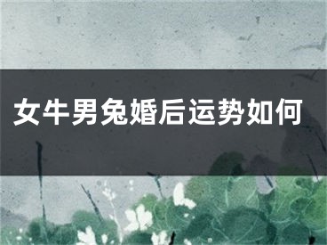 女牛男兔婚后运势如何