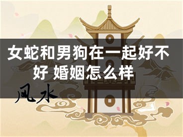 女蛇和男狗在一起好不好 婚姻怎么样