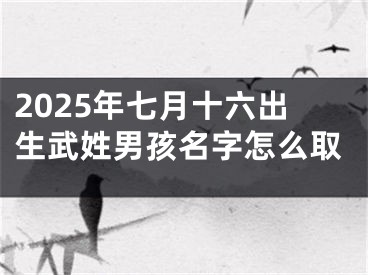 2025年七月十六出生武姓男孩名字怎么取