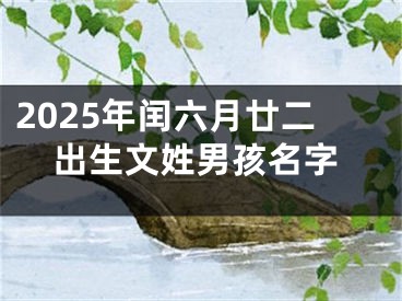 2025年闰六月廿二出生文姓男孩名字