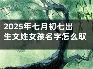 2025年七月初七出生文姓女孩名字怎么取