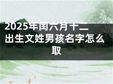 2025年闰六月十二出生文姓男孩名字怎么取