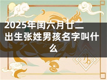 2025年闰六月廿二出生张姓男孩名字叫什么
