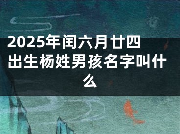 2025年闰六月廿四出生杨姓男孩名字叫什么