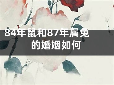84年鼠和87年属兔的婚姻如何