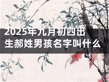 2025年九月初四出生郝姓男孩名字叫什么