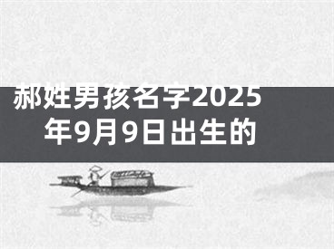 郝姓男孩名字2025年9月9日出生的