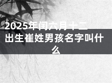 2025年闰六月十二出生崔姓男孩名字叫什么