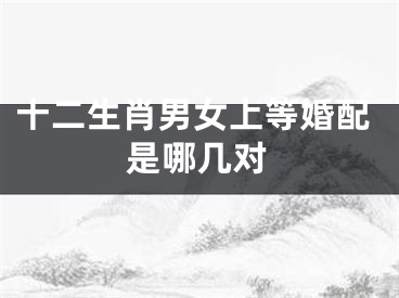 十二生肖男女上等婚配是哪几对