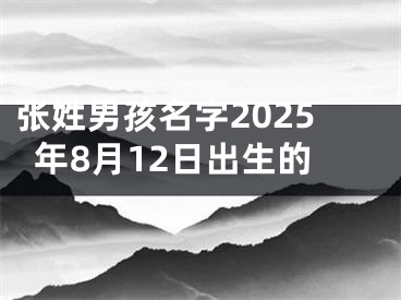 张姓男孩名字2025年8月12日出生的