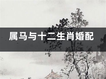 属马与十二生肖婚配
