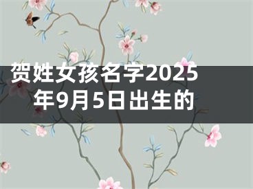 贺姓女孩名字2025年9月5日出生的