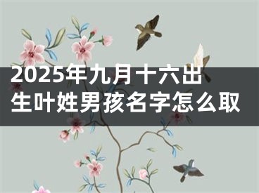 2025年九月十六出生叶姓男孩名字怎么取