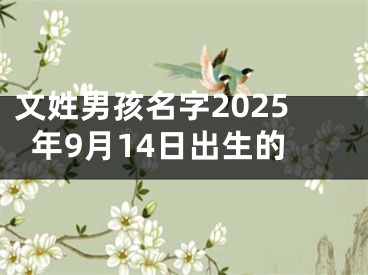 文姓男孩名字2025年9月14日出生的