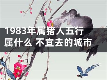 1983年属猪人五行属什么 不宜去的城市