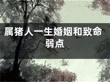 属猪人一生婚姻和致命弱点