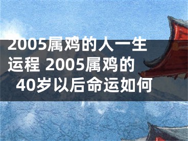 2005属鸡的人一生运程 2005属鸡的40岁以后命运如何