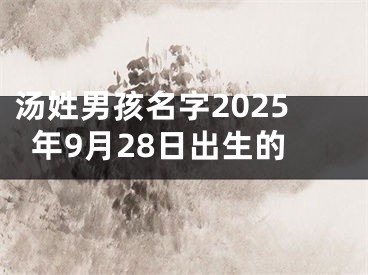 汤姓男孩名字2025年9月28日出生的
