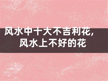 风水中十大不吉利花,风水上不好的花