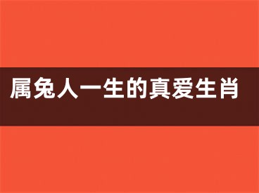 属兔人一生的真爱生肖