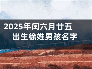 2025年闰六月廿五出生徐姓男孩名字