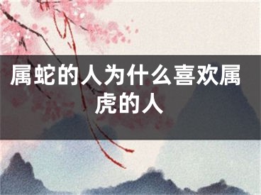 属蛇的人为什么喜欢属虎的人