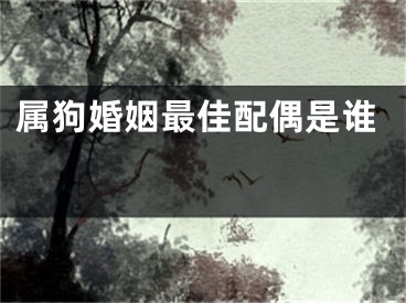属狗婚姻最佳配偶是谁 