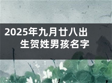 2025年九月廿八出生贺姓男孩名字