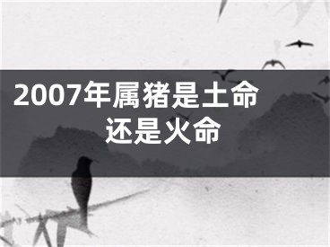 2007年属猪是土命还是火命