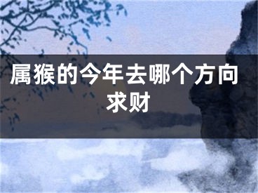 属猴的今年去哪个方向求财